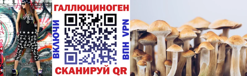 цены   Кандалакша  Галлюциногенные грибы Cubensis 