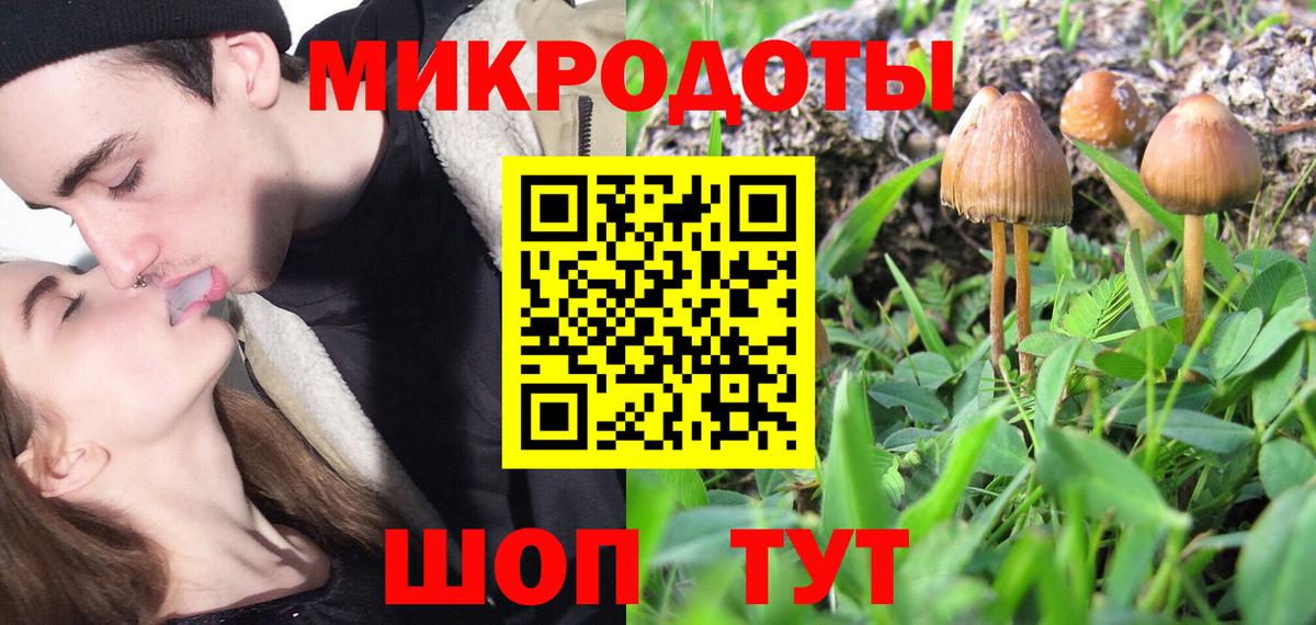 Псилоцибиновые грибы Magic Shrooms Кандалакша