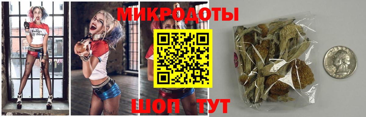 Псилоцибиновые грибы мухоморы  Псилоцибиновые грибы Psilocybe  Кандалакша  Вход с VPN 
